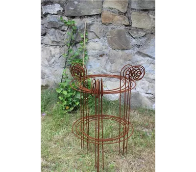 Strauchstütze Dreibein "Schnecke"