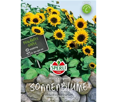 Sonnenblume Samen SPERLI Sonnenblume Samen SPERLI