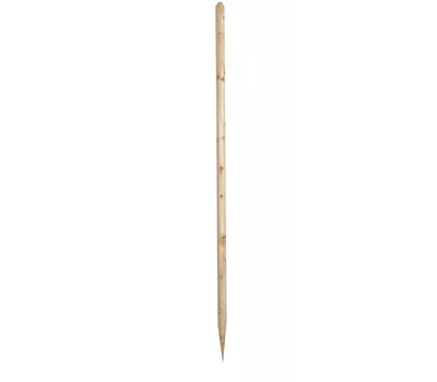 Pfahl, unbehandelt Pfahl, unbehandelt