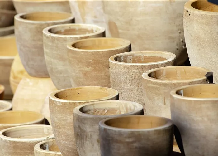 Pflanzgefäße und Übertöpfe