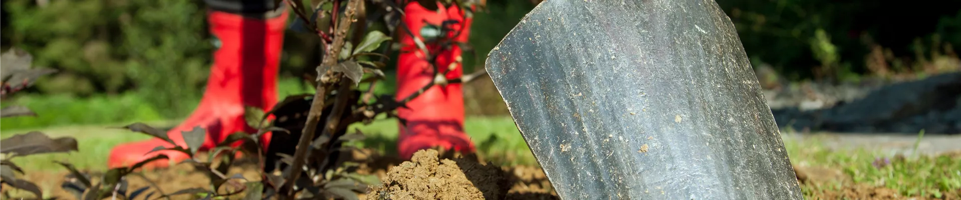pflanzenzubehoer-kaufen-bei-garten-sauer-murnau (2)