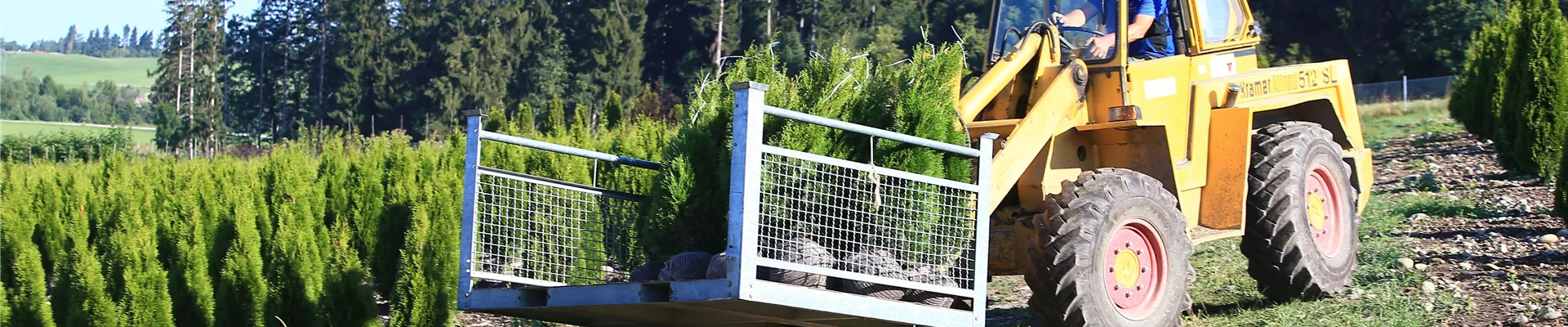 pflanzen-kaufen-bei-garten-sauer-murnau (9) pflanzen-kaufen-bei-garten-sauer-murnau (9)