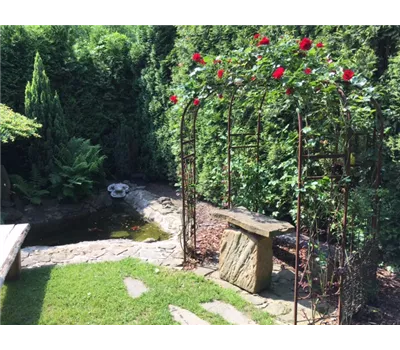 Rosenpavillon 'CLASSIC', edelrost Rosenpavillon 'CLASSIC', edelrost