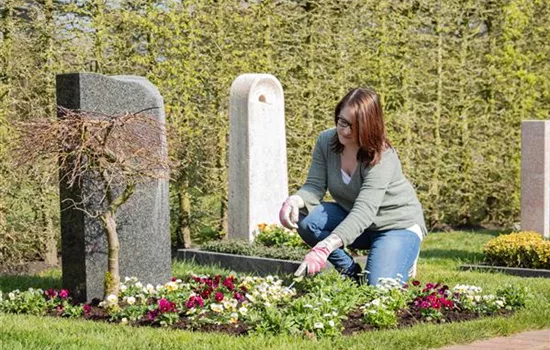 Stilvolles Gedenken – die Grabbepflanzung Stilvolles Gedenken – die Grabbepflanzung
