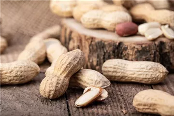 Erdnüsse im eigenen Garten 