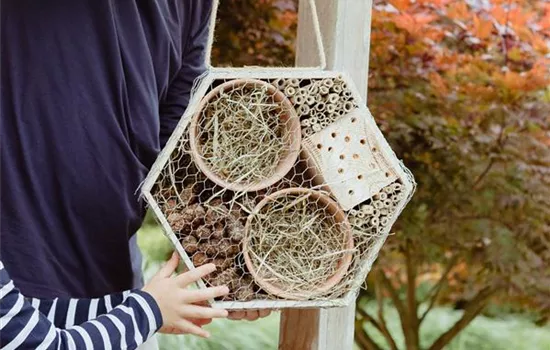 Ein Insektenhotel im Garten - Urlaub für kleine Nützlinge. Ein Insektenhotel im Garten - Urlaub für kleine Nützlinge.