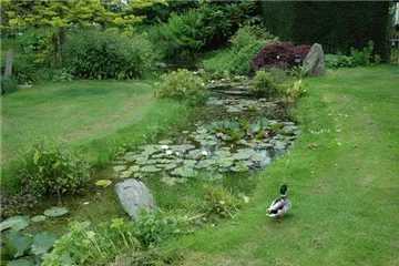 Der Bachlauf im Garten – Wasser bringt Ruhe und Erholung