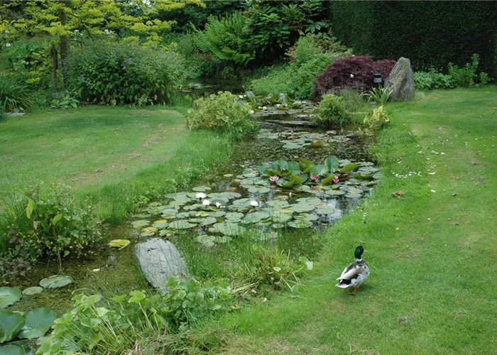 Der Bachlauf im Garten – Wasser bringt Ruhe und Erholung