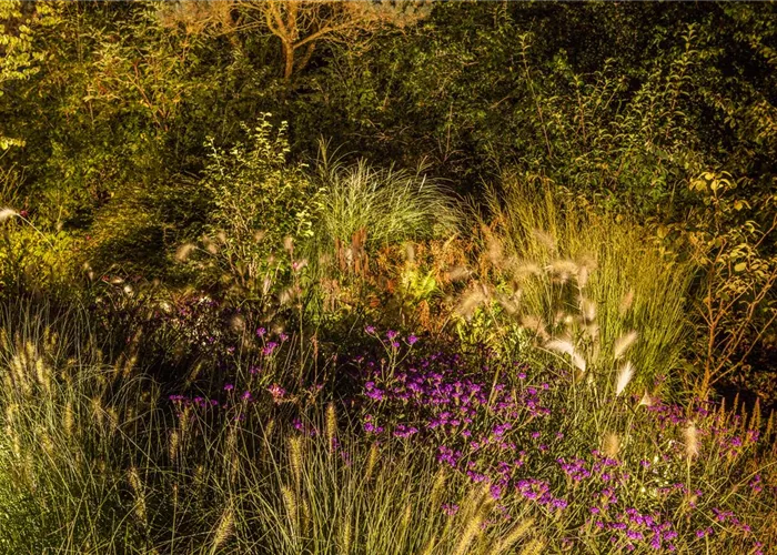 Lichtquellen machen den Garten schöner!