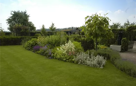 Wasser für den Rasen – Bewässerungssysteme und Tipps Wasser für den Rasen – Bewässerungssysteme und Tipps