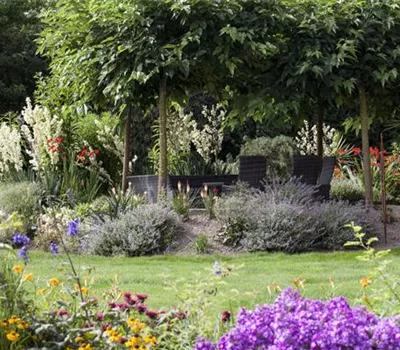 Was tun, wenn der Garten zu groß ist  Was tun, wenn der Garten zu groß ist