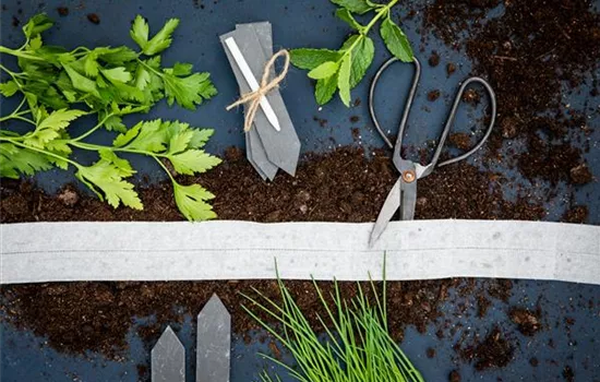 Saatscheiben und Saatbänder selber herstellen Saatscheiben und Saatbänder selber herstellen