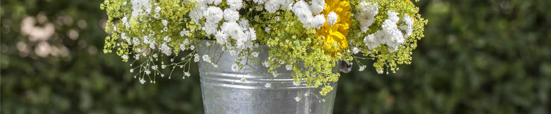 Blumenstrauß Blumenstrauß