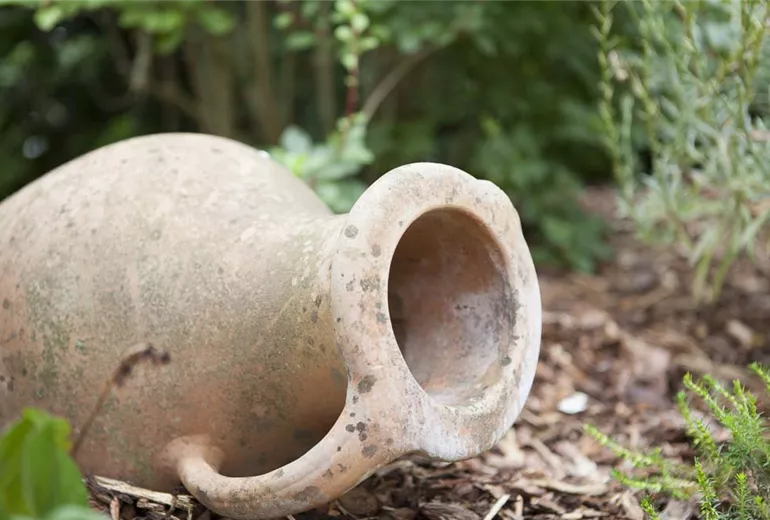 Gefäße im Garten