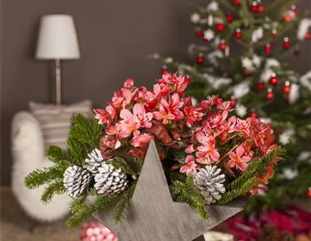 Advent - mit schönen Ideen durch die Vorweihnachtszeit  Advent - mit schönen Ideen durch die Vorweihnachtszeit