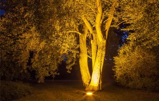 Weihnachts-Lichter-Gärten Weihnachts-Lichter-Gärten