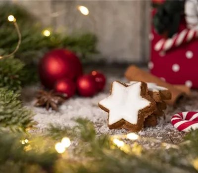 Grüne Kugeln – die etwas andere Weihnachtsdeko Grüne Kugeln – die etwas andere Weihnachtsdeko