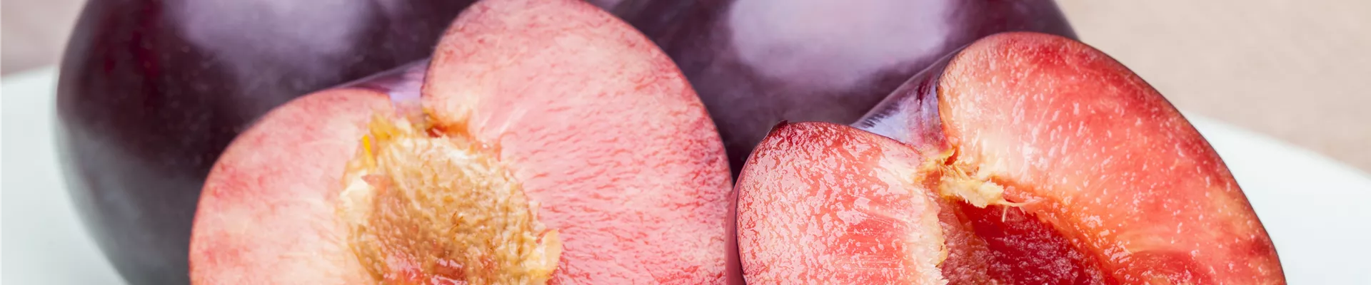 Prunus domestica Prunus domestica