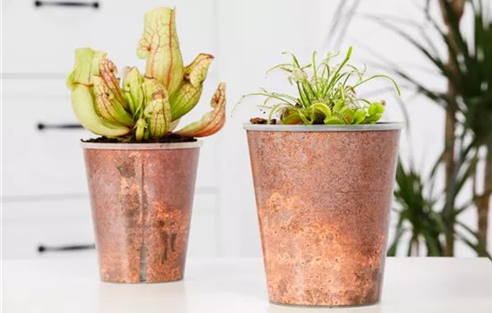 Auf Sauberkeit achten Auf Sauberkeit achten