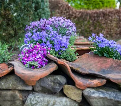 Minigärten Minigärten