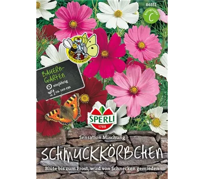 Schmuckkörbchen Samen SPERLI