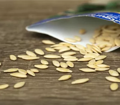 Inventur zum Frühlingsanfang: Sämereien überprüfen Inventur zum Frühlingsanfang: Sämereien überprüfen