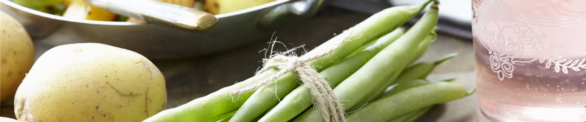 Rosmarinus officinalis