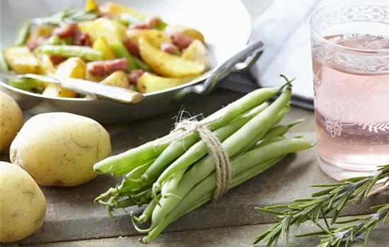 Gemüse aus eigenem Anbau: frischer Geschmack für Genießer Gemüse aus eigenem Anbau: frischer Geschmack für Genießer