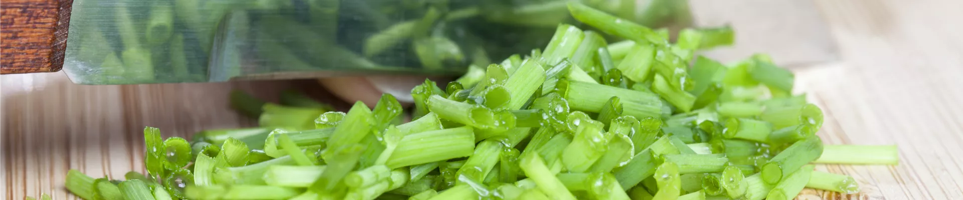 Allium schoenoprasum Allium schoenoprasum