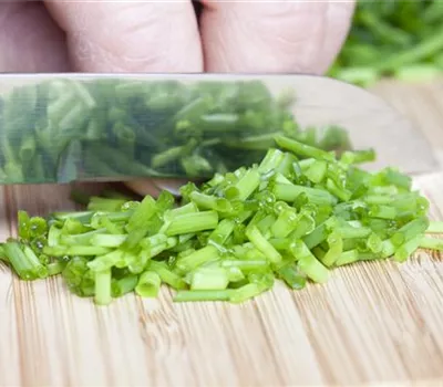 Was wäre der Küchengarten ohne frische Kräuter? Was wäre der Küchengarten ohne frische Kräuter?