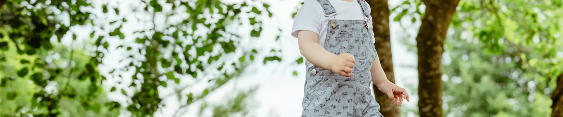 Kleiner Junge im Garten Kleiner Junge im Garten