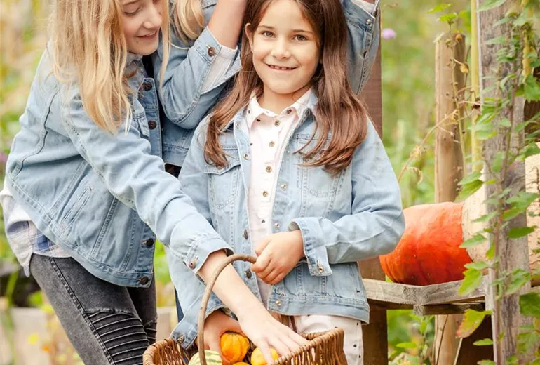 Mädchen mit Kürbissen Mädchen mit Kürbissen