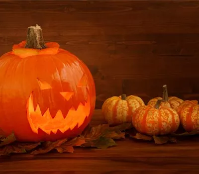 Halloween im eigenen Garten Halloween im eigenen Garten