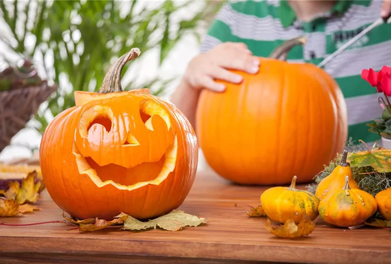 Halloween Kürbis vorbereiten