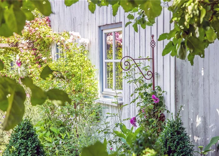 Gartenwissen Gartenwissen