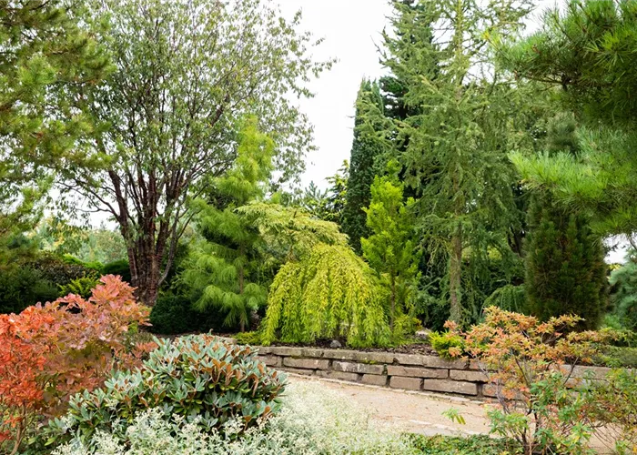 Gartengestaltung Gartengestaltung