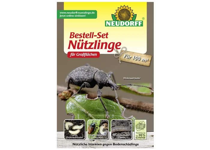 Nützlinge Nematoden für Großflächen
