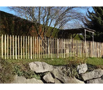 Edelkastanie Staketenzaun, gesägt Edelkastanie Staketenzaun, gesägt