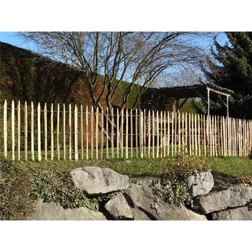 Edelkastanie Staketenzaun, gesägt Edelkastanie Staketenzaun, gesägt