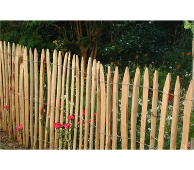 Edelkastanie Staketenzaun, gespalten Edelkastanie Staketenzaun, gespalten