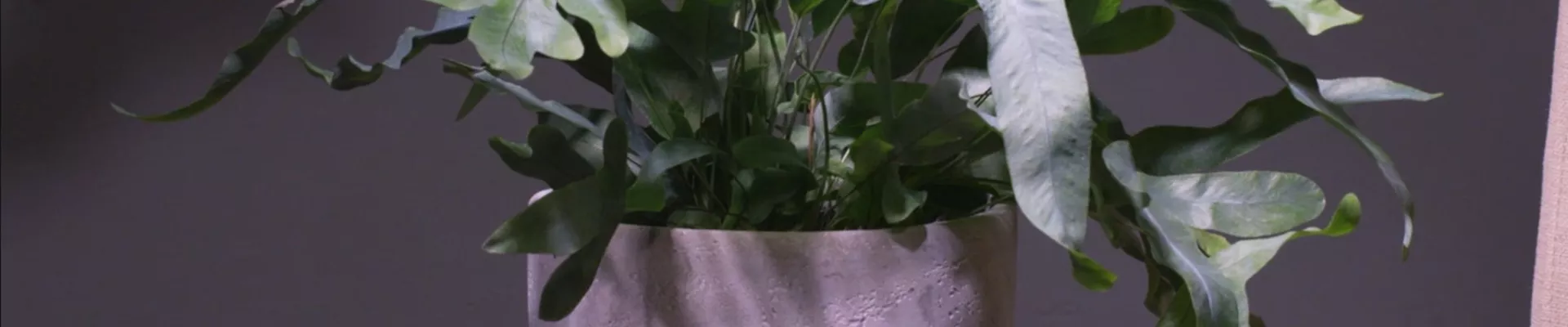 Ashampoo_Snap_Dienstag, 21. Juni 2022_09h15m46s_002_ Ashampoo_Snap_Dienstag, 21. Juni 2022_09h15m46s_002_