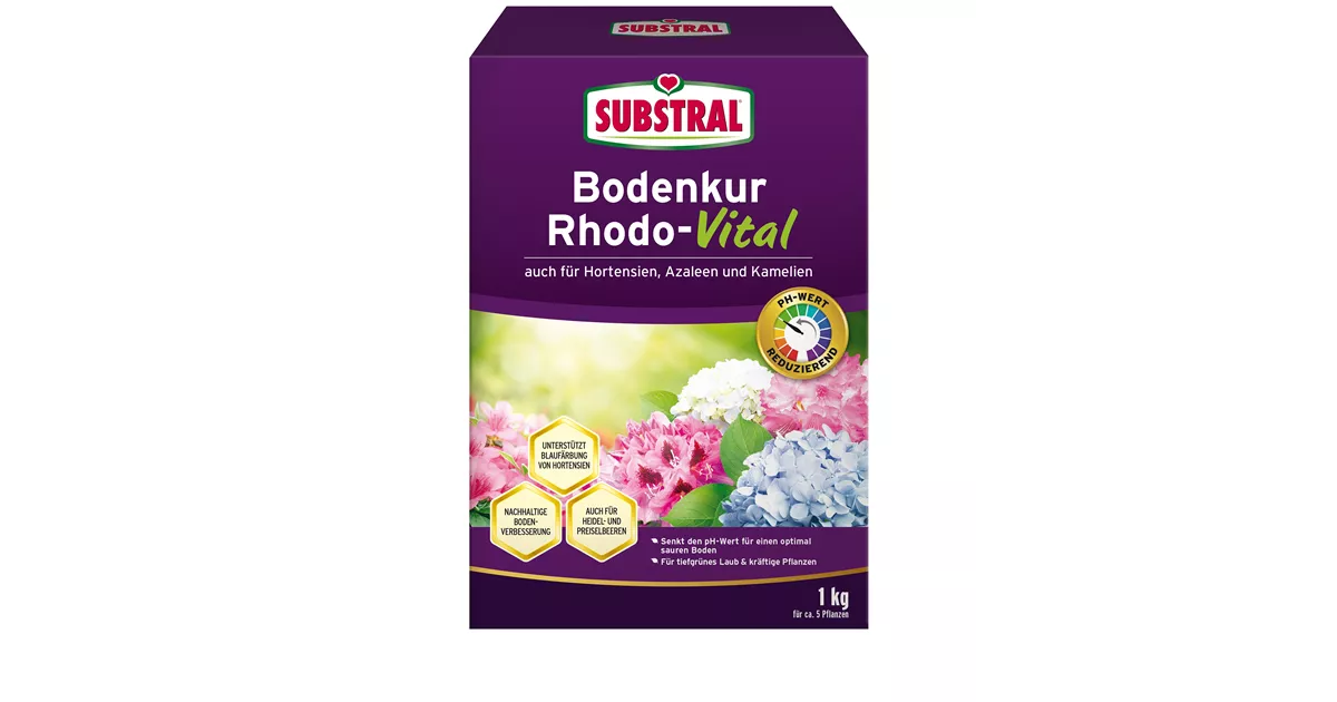 Substral Rhodo-Vital Bodenkur