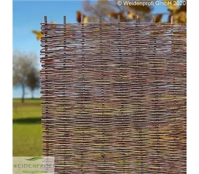 Haselnusszaun BALDO STABIL