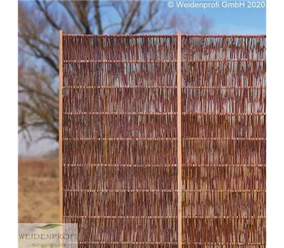 Weidenzaun LATO SOLID