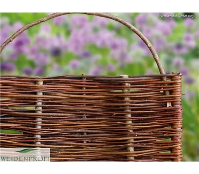 Weidenzaun mit Bogen, Spanische Wand