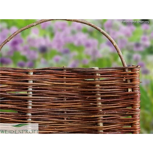 Weidenzaun mit Bogen, Spanische Wand Weidenzaun mit Bogen, Spanische Wand