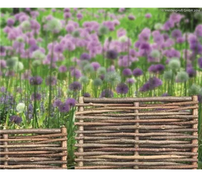 Beeteinfassung Bauerngarten Haselnuss