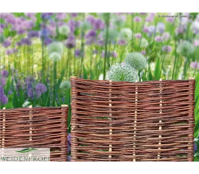 Beeteinfassung Bauerngarten Weide