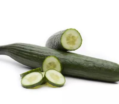 Cucumis sativus Veredelte Gurke