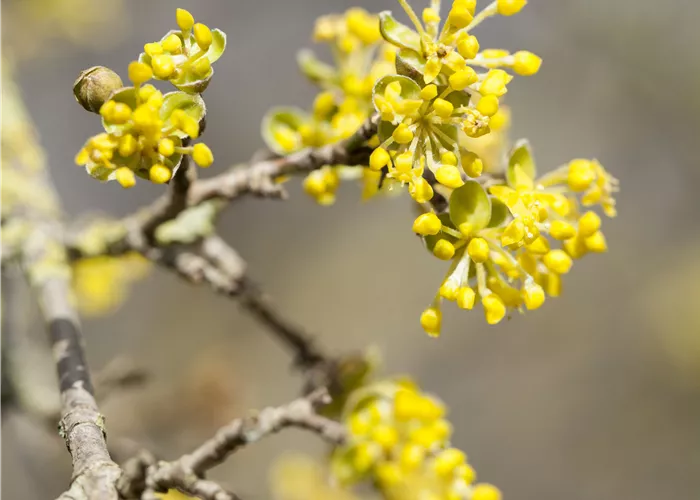 Montag, 02. März '26 geschlossen